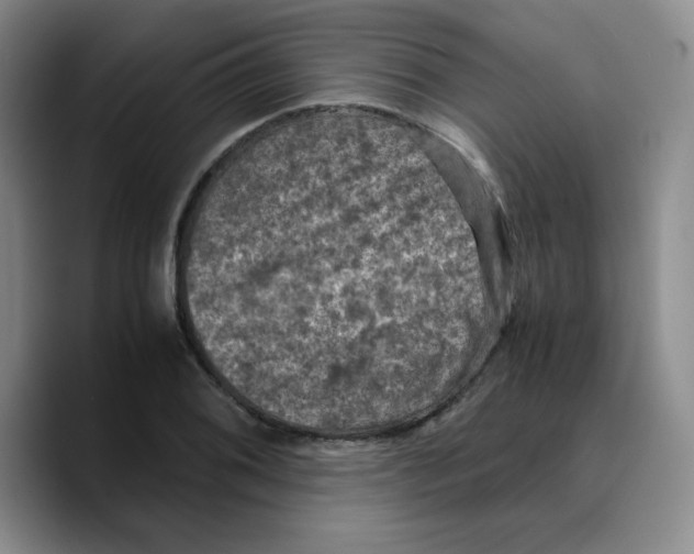 X0000089691076200707201715