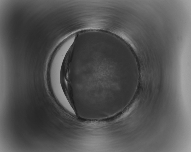 X0000089691077200707201715
