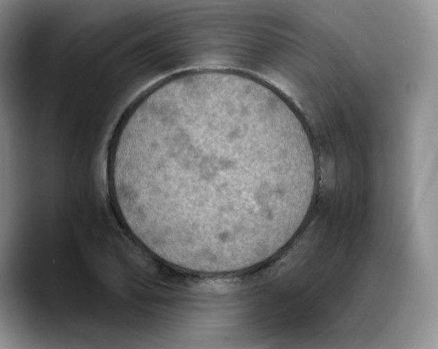 X0000089691078200707201715