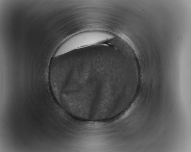 X0000089691081200707201715