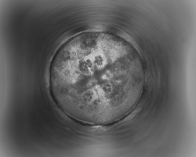 X0000089691083200707201715