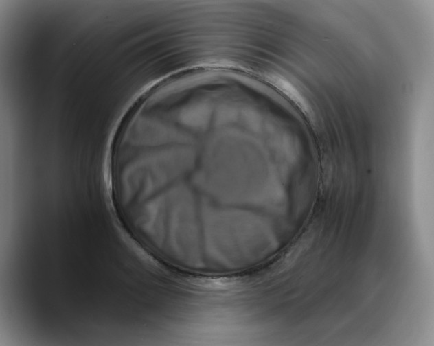 X0000089691084200707201715
