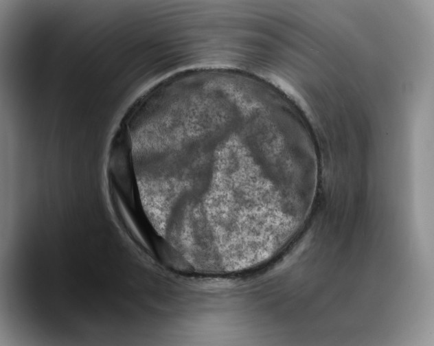 X0000089691085200707201715