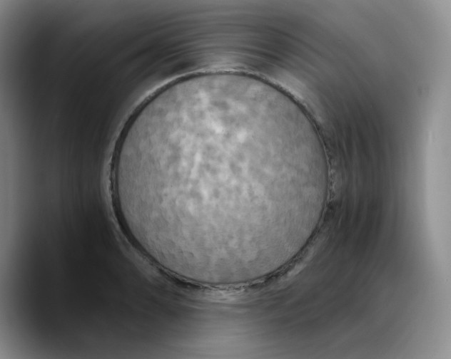 X0000089691086200707201715