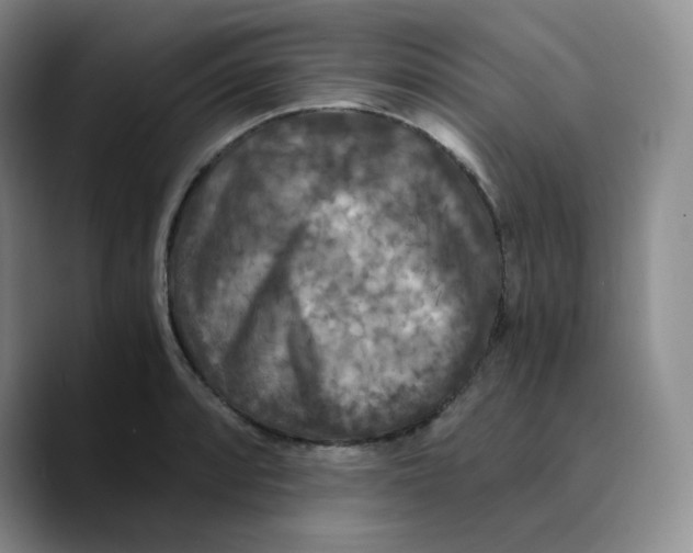 X0000089691088200707201715
