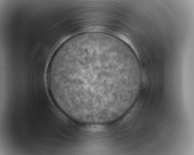 X0000089691090200707201715