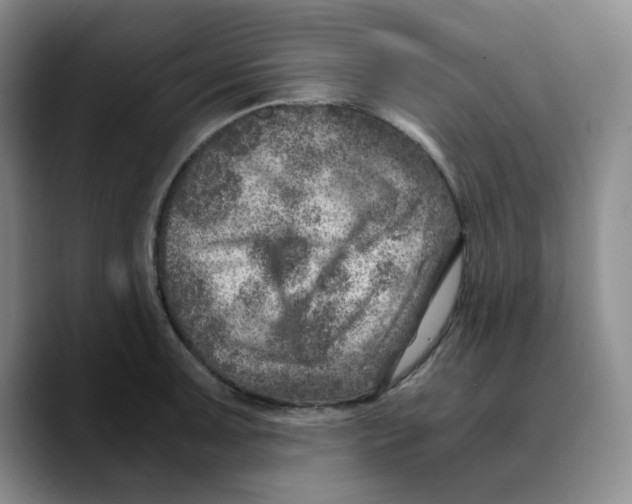 X0000089691091200707201715