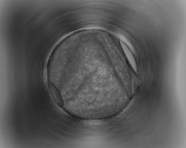 X0000089691092200707201715