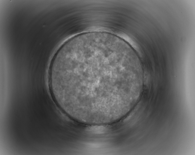 X0000089691094200707201715