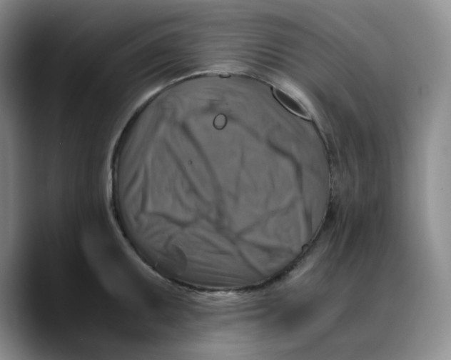 X0000089691095200707201715