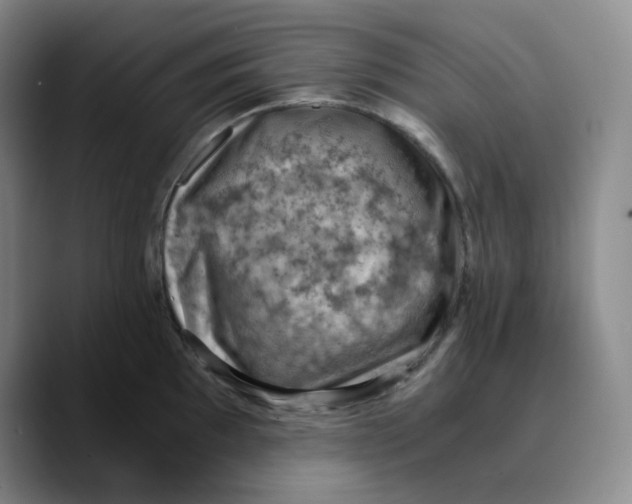 X0000089691097200707201715