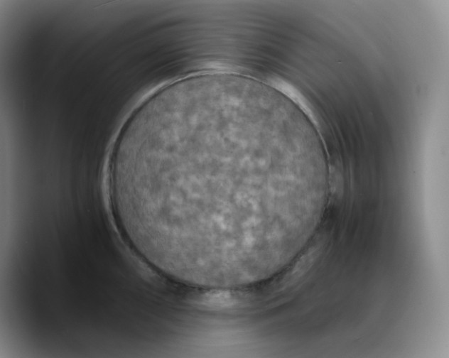 X0000089691098200707201715