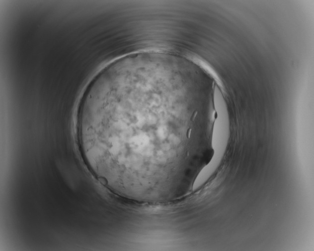 X0000089691099200707201715
