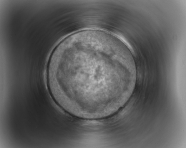 X0000089691100200707201715
