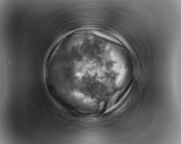 X0000089691101200707201715