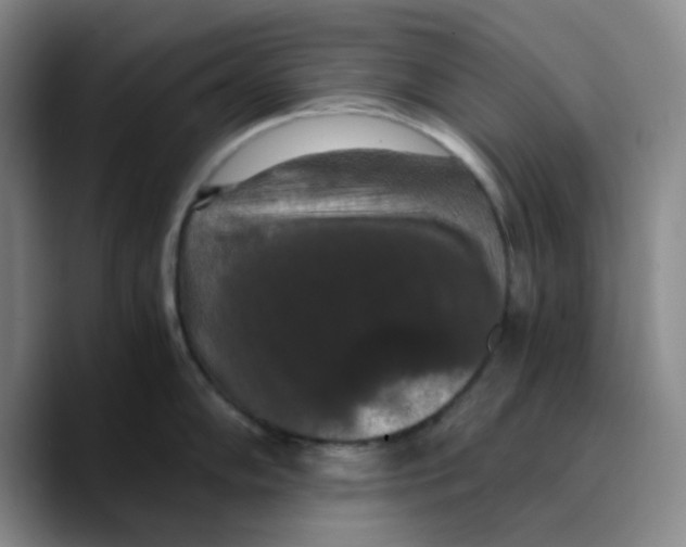 X0000089691102200707201715