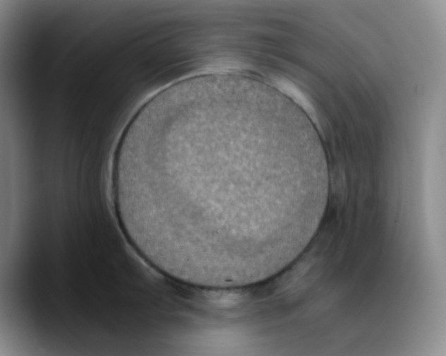 X0000089691103200707201715