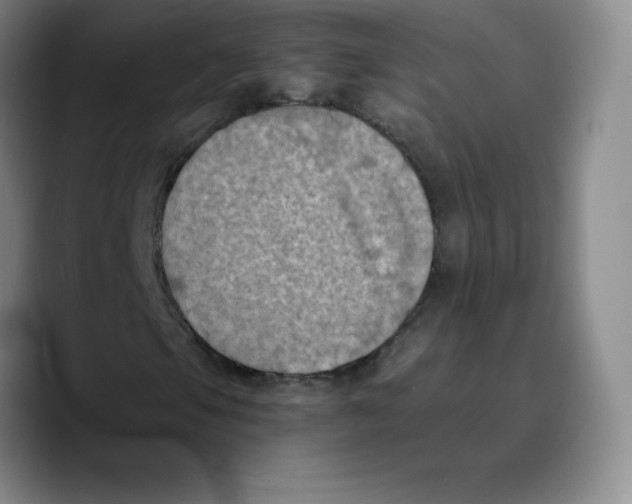 X0000089691105200707201714