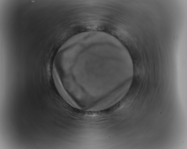X0000089691106200707201714