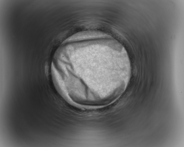 X0000089691108200707201714