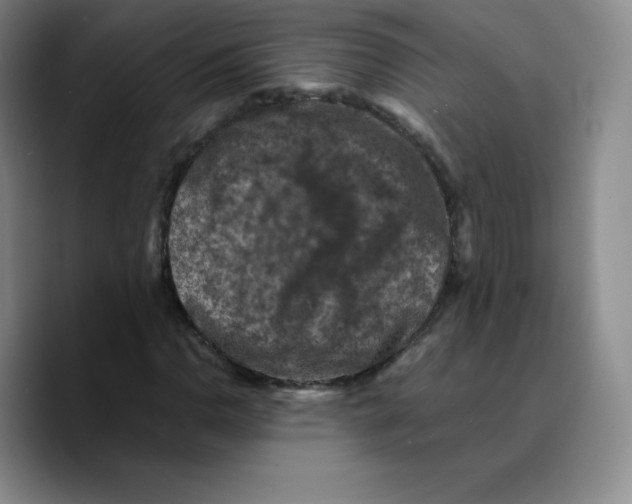 X0000089691110200707201714