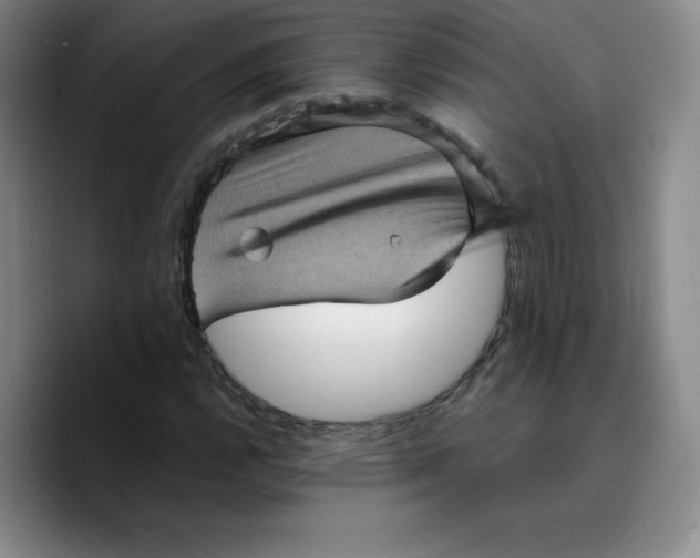 X0000089691112200707201714