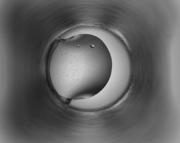 X0000089691114200707201714