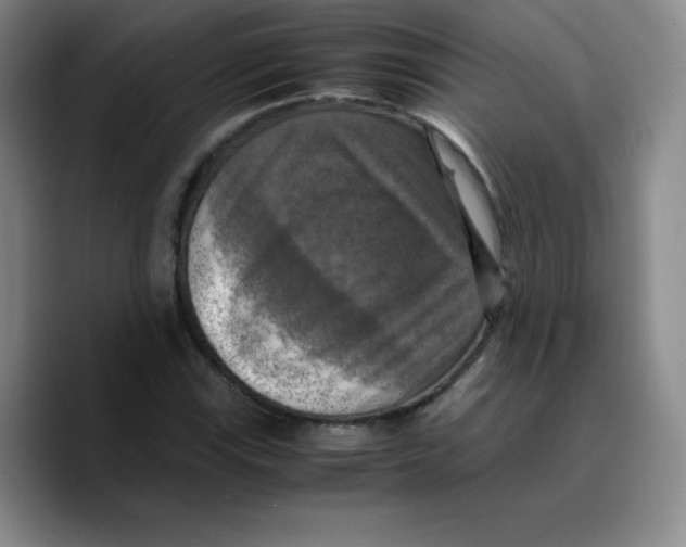 X0000089691115200707201714