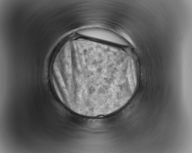 X0000089691116200707201714