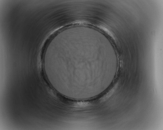 X0000089691117200707201714