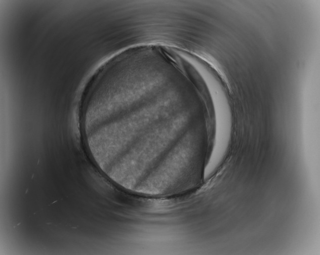 X0000089691120200707201714