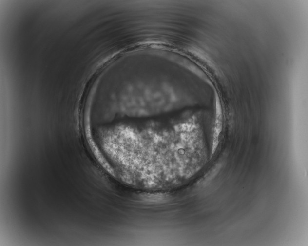 X0000089691121200707201714