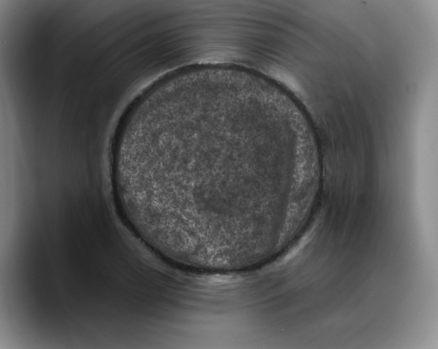 X0000089691122200707201714