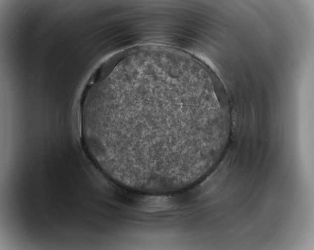 X0000089691123200707201714