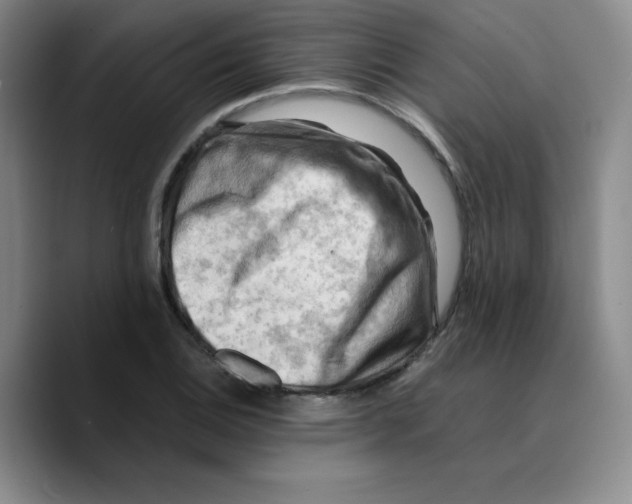 X0000089691124200707201714