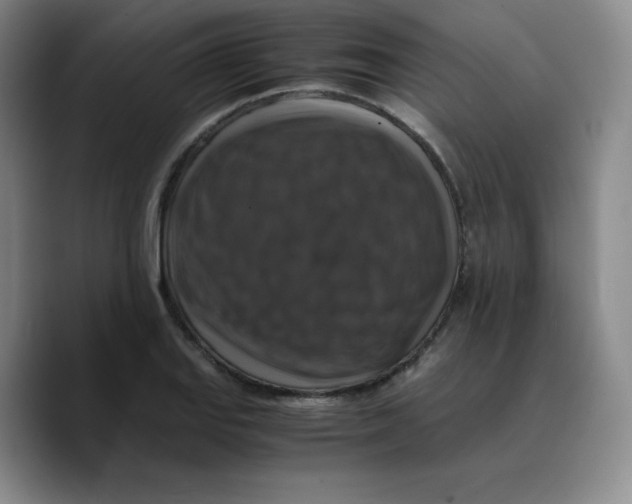 X0000089691127200707201715