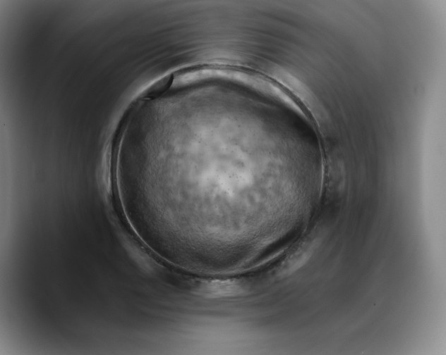 X0000089691128200707201715