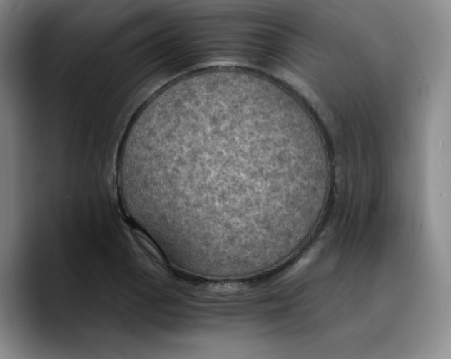 X0000089691129200707201715
