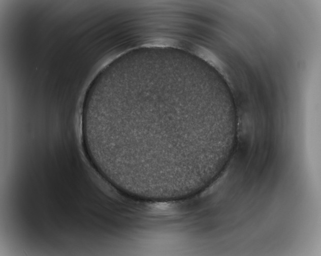 X0000089691130200707201715