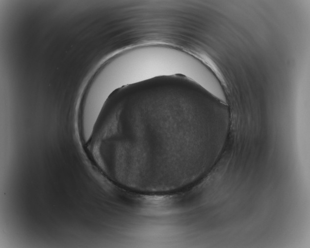 X0000089691132200707201715