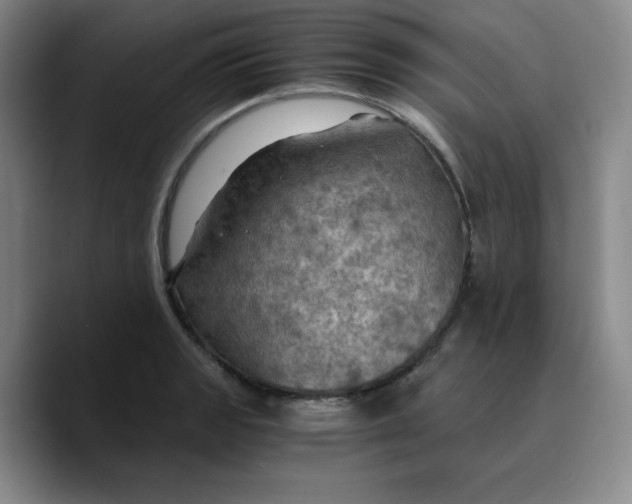 X0000089691133200707201715