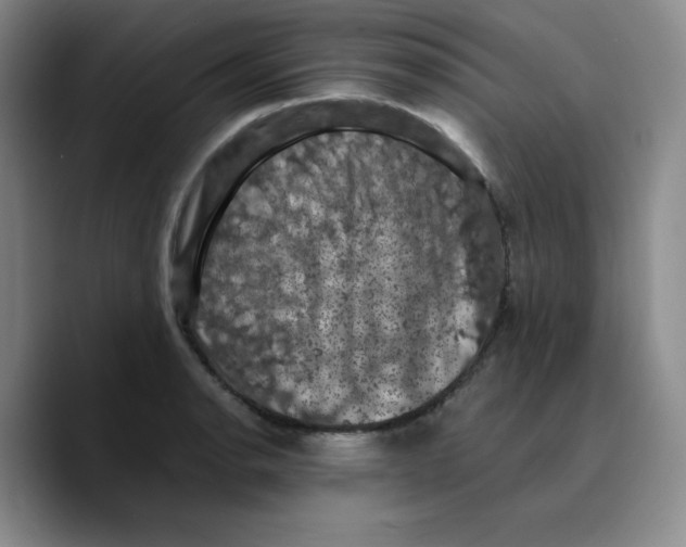 X0000089691134200707201715