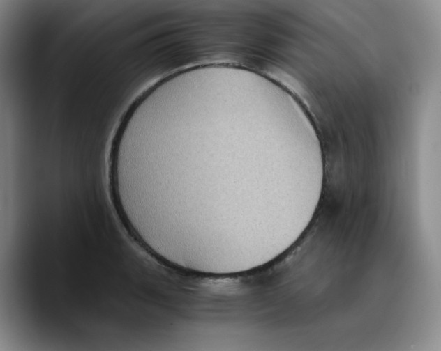X0000089691135200707201715