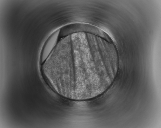 X0000089691136200707201715