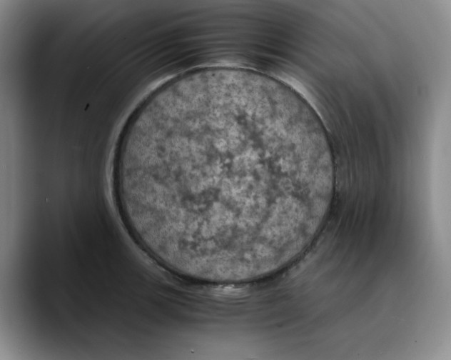 X0000089691139200707201715