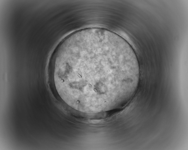X0000089691140200707201715