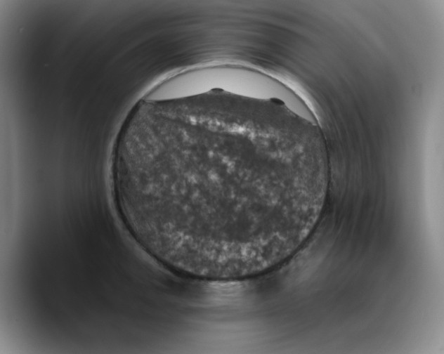 X0000089691142200707201715