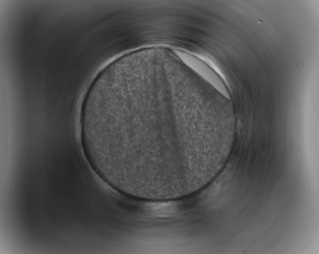 X0000089691143200707201715