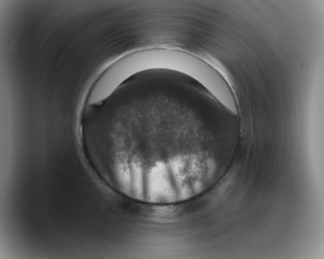 X0000089691144200707201715