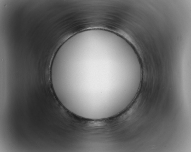 X0000089691145200707201715